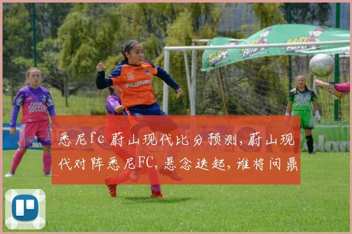 悉尼fc 蔚山现代比分预测,蔚山现代对阵悉尼FC,悬念迭起,谁将问鼎