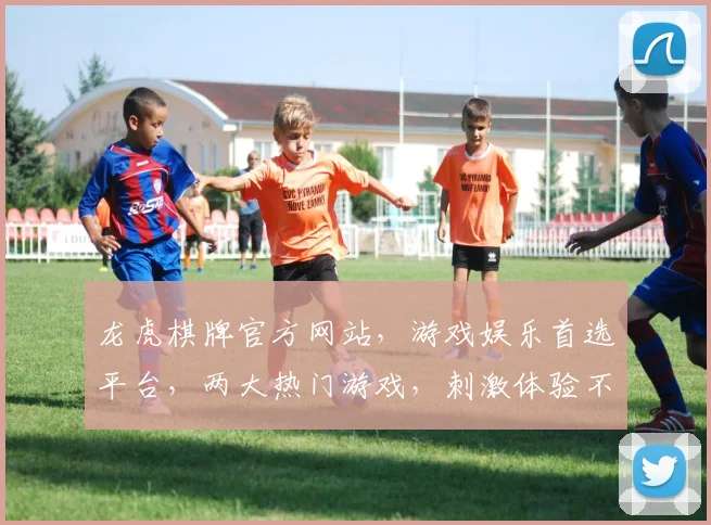 龙虎棋牌官方网站，游戏娱乐首选平台，两大热门游戏，刺激体验不停歇，畅玩不停